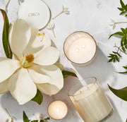 Elevate Your Everyday