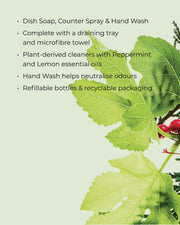 White Tea & Wild Mint