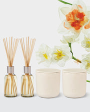 Narcissus & Patchouli Exclusives