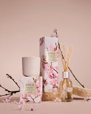 Cherry Blossom & Green Tea