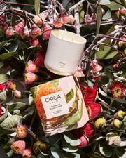 Australian Wildflowers