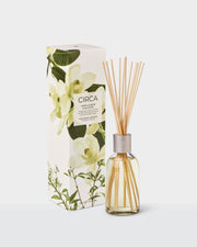 Vanilla Bean & Allspice