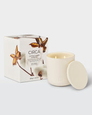 Cotton Flower & Freesia
