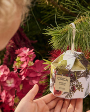 A Bonus Christmas Gift For You