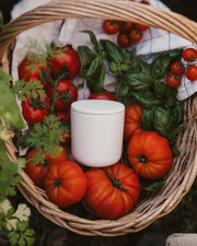 Tomato & Basil