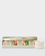 Christmas Candle Trio in front-facing botanical gift packaging beside a mini ceramic candle.